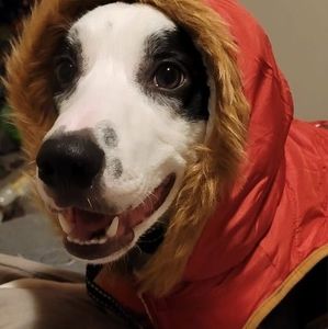 Meet your Posher, Brandy